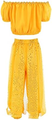 Girls Belly Dancer Handmade Chiffon Dance Outfit Set
