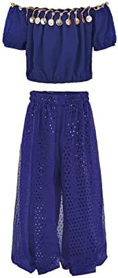 Girls Belly Dancer Dance Outfit Chiffon Top and Pants Halloween Costume Set 1