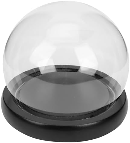 Oval Glass Bell Jar with Wooden Base LED Light