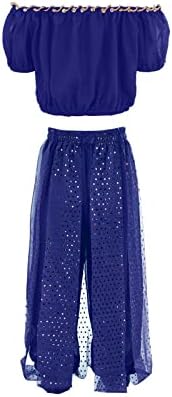 Girls Belly Dancer Dance Outfit Chiffon Top and Pants Halloween Costume Set 1