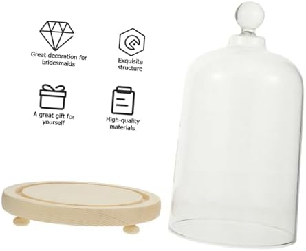 DOITOOL Clear Glass Dome Cloche with Wood Base