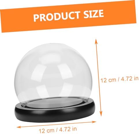 Oval Glass Bell Jar with Wooden Base LED Light