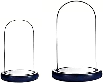 ALHOMEE 2pcs Glass Cloche Dome Display Case With Base