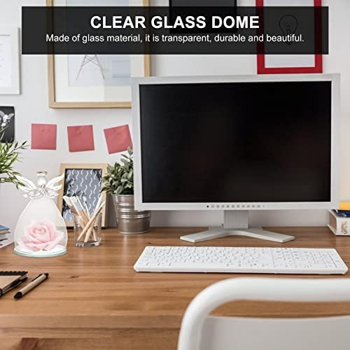 BESTOYARD 5x3 Clear Glass Cloche Bell Jar Display Case