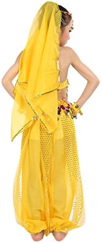 Girls Dance Outfit Handmade Chiffon Top and Pants Halloween Costume