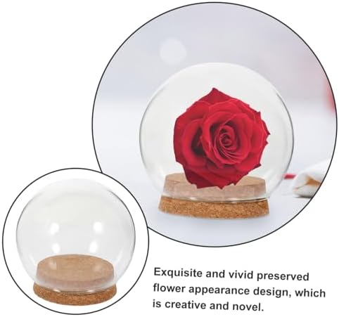 FOMIYES 5PCS Glass Dome Display Case 1