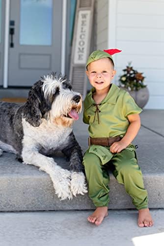 Little Adventures Peter Pan Costume for Kids