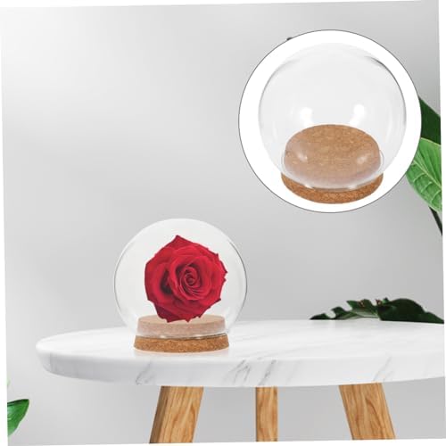 FOMIYES 5PCS Glass Dome Display Case 1