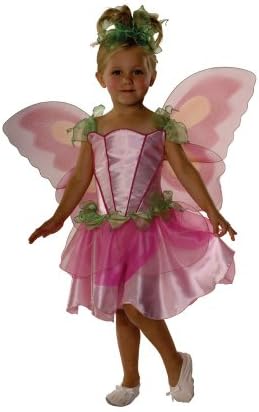 Rubies Butterfly Fairy Child Costume Size 24 1