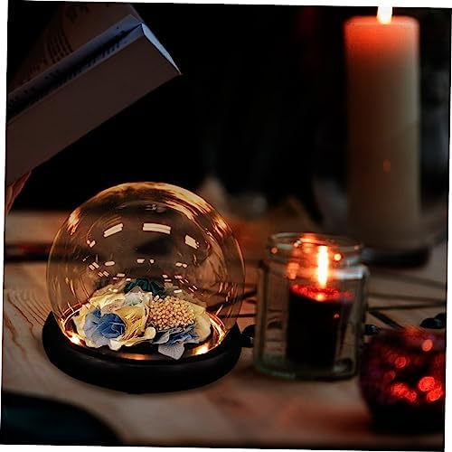 Oval Glass Bell Jar with Wooden Base LED Light
