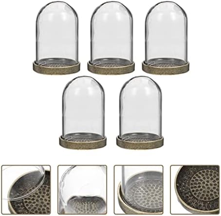 ARTIBETTER 5-Piece Clear Glass Dome Cloche with Brass Base 1