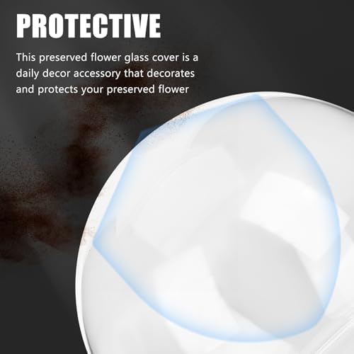 ArtBetter 2 Pack Glass Dome Cloche for Preserved Flowers