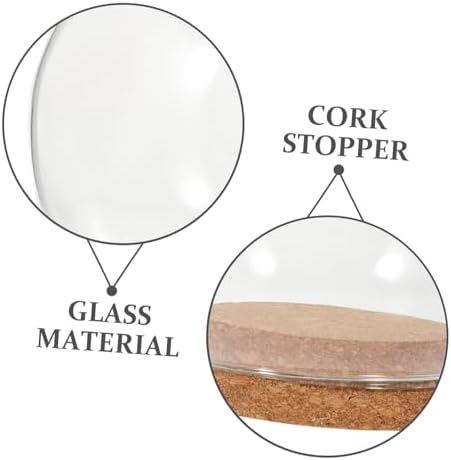 FOMIYES 5PCS Glass Dome Display Case 1