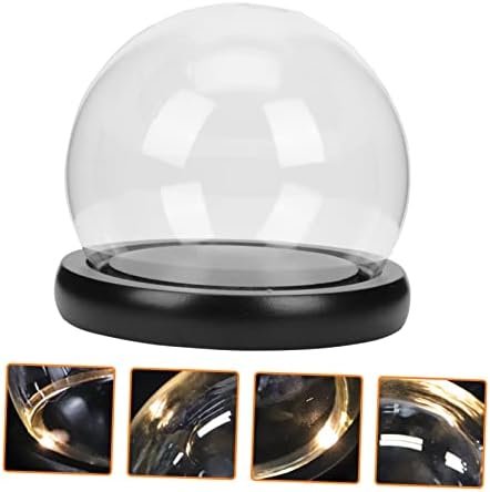 Oval Glass Bell Jar with Wooden Base LED Light