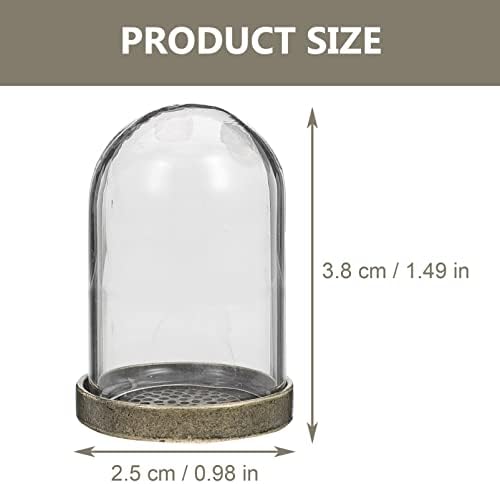 ARTIBETTER 5-Piece Clear Glass Dome Cloche with Brass Base 1