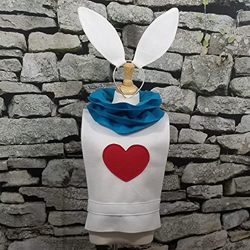 Alice in Wonderland White Rabbit Costume Set