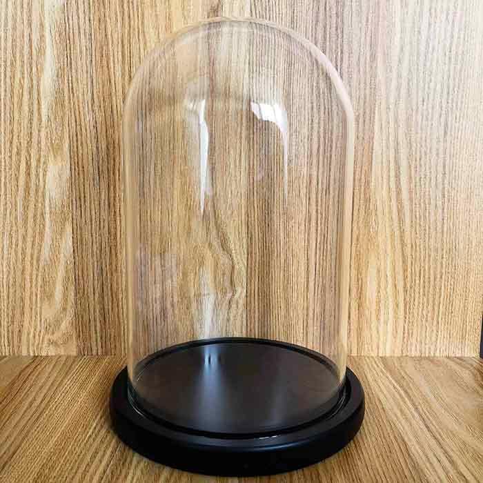 ALHOMEE 2pcs Glass Cloche Dome Display Case With Base