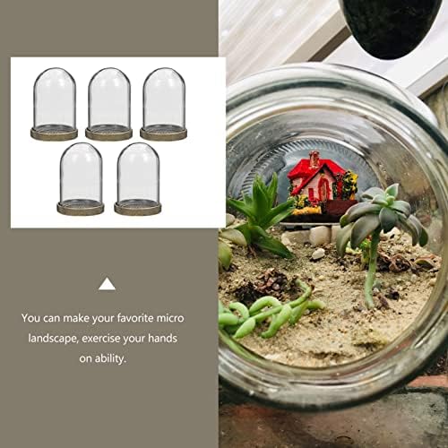 ARTIBETTER 5-Piece Clear Glass Dome Cloche with Brass Base 1