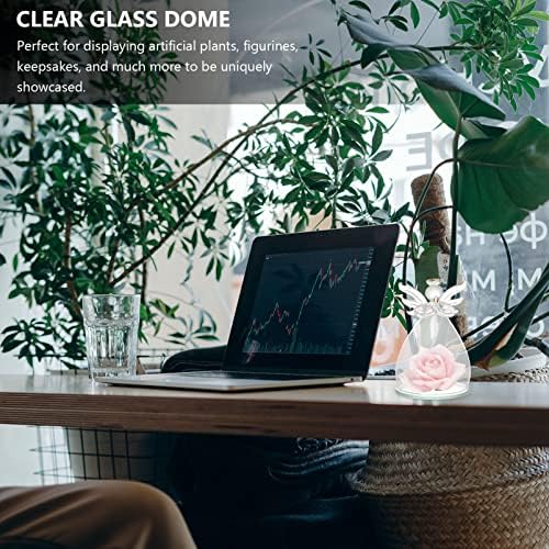 BESTOYARD 5x3 Clear Glass Cloche Bell Jar Display Case