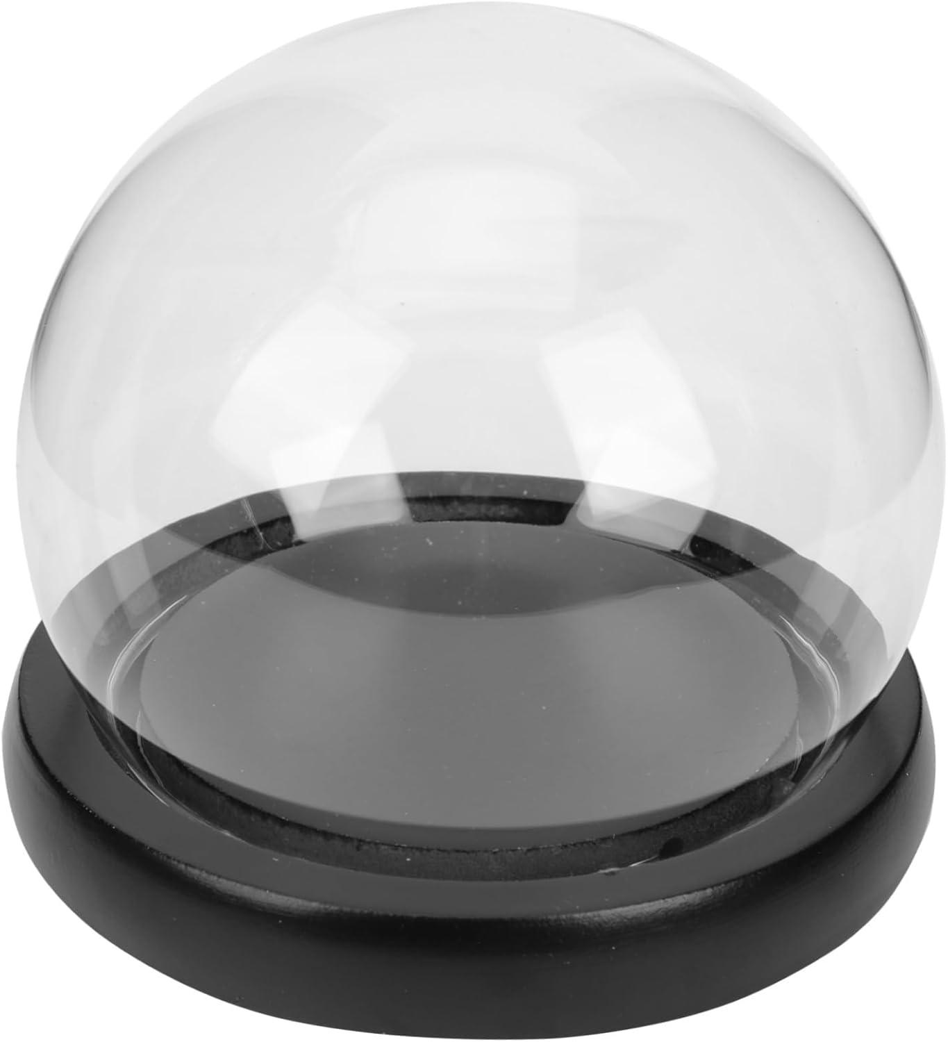 Oval Glass Bell Jar with Wooden Base LED Light