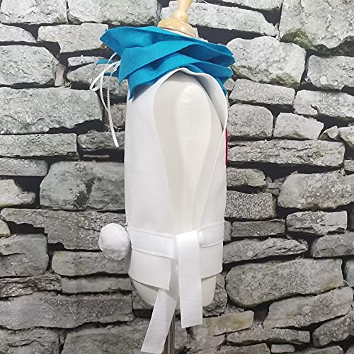 Alice in Wonderland White Rabbit Costume Set