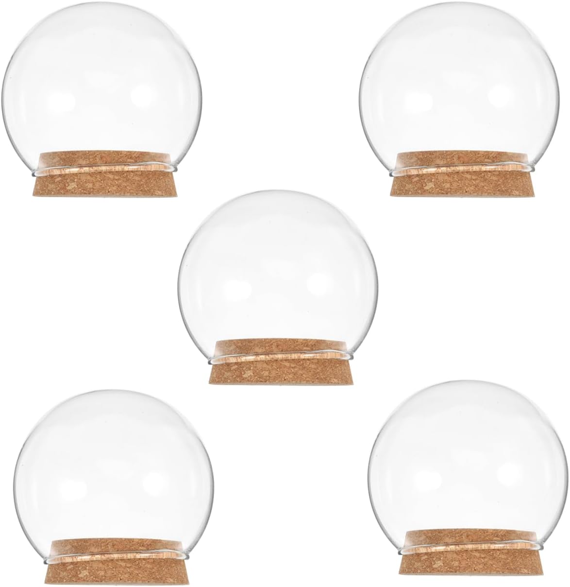 5pcs Clear Glass Cloche Dome with Wooden Base for Collectibles
