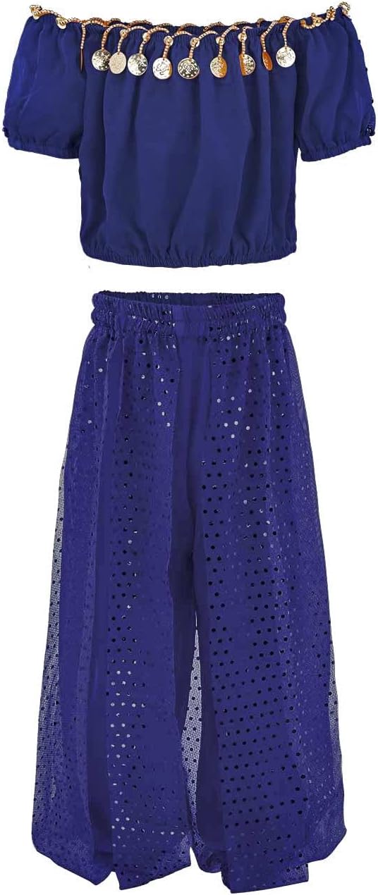 Girls Belly Dancer Dance Outfit Chiffon Top and Pants Halloween Costume Set 1