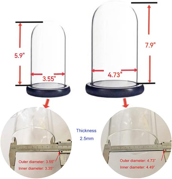 ALHOMEE 2pcs Glass Cloche Dome Display Case With Base