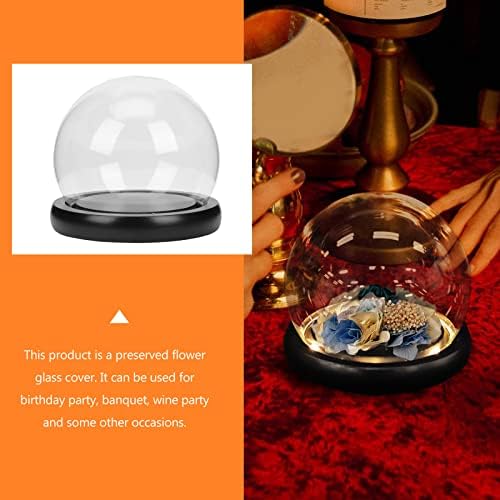 SOLUSTRE Decorative Glass Dome Jar with Base