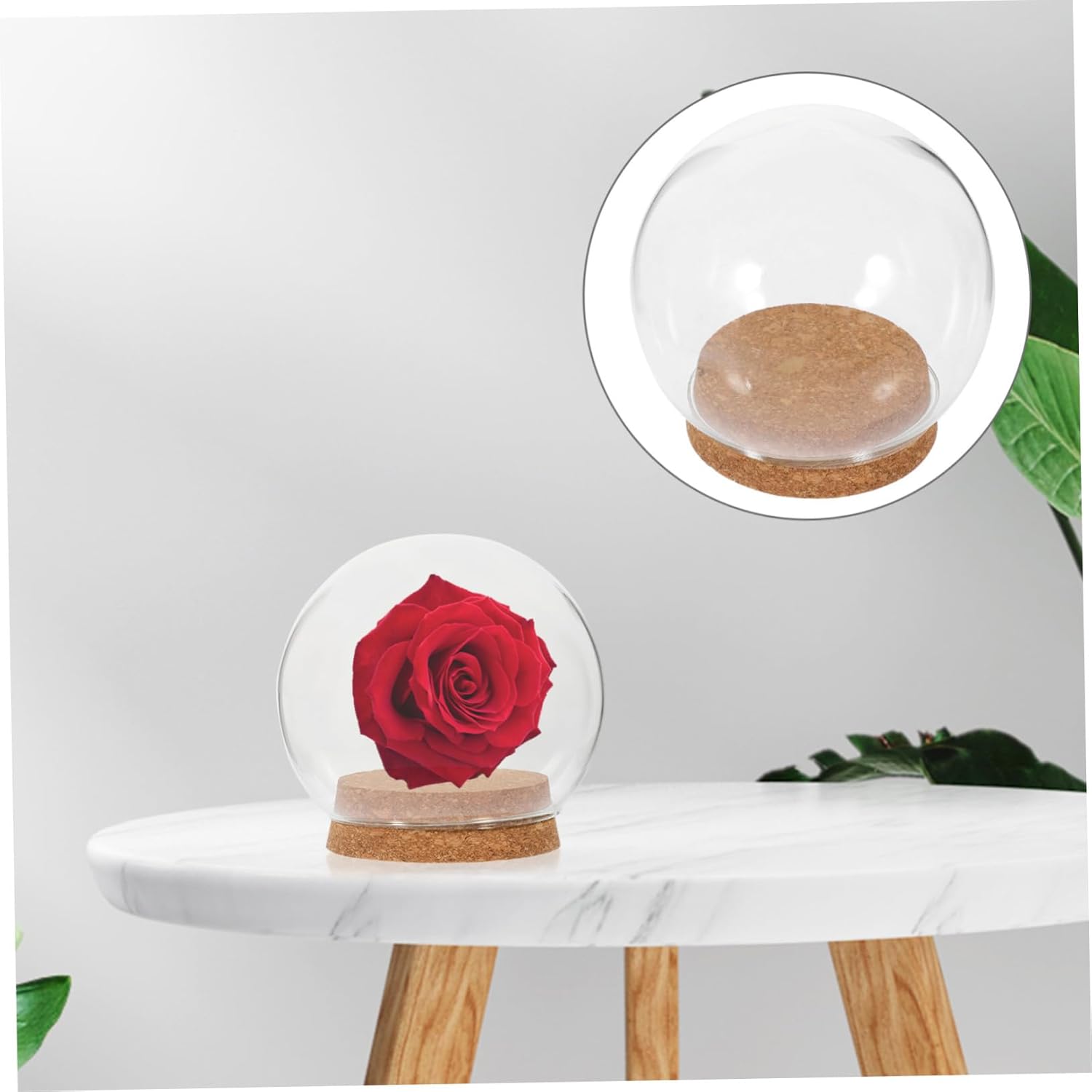 FOMIYES 5PCS Glass Dome Display Case 1