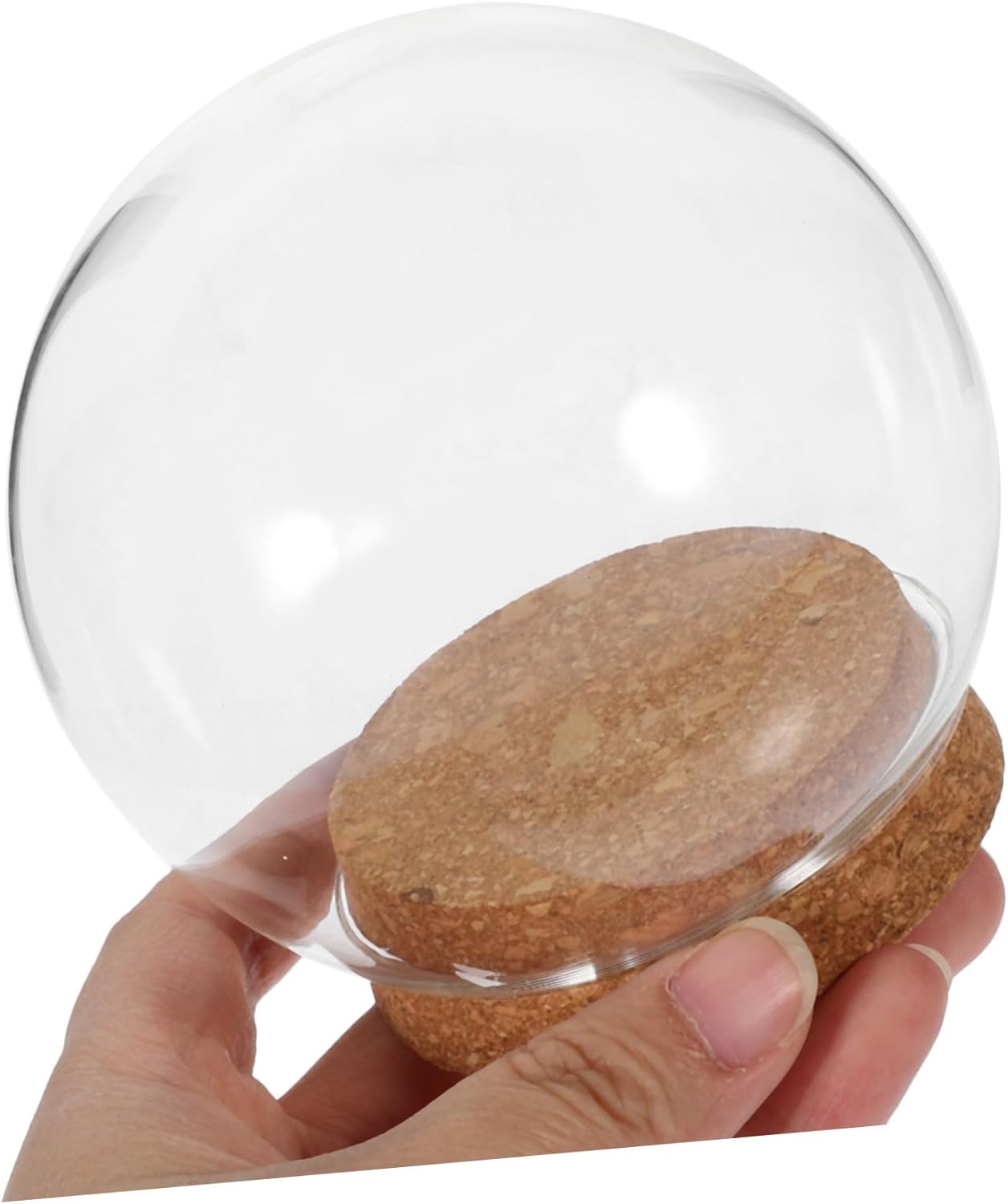 FOMIYES 5PCS Glass Dome Display Case 1