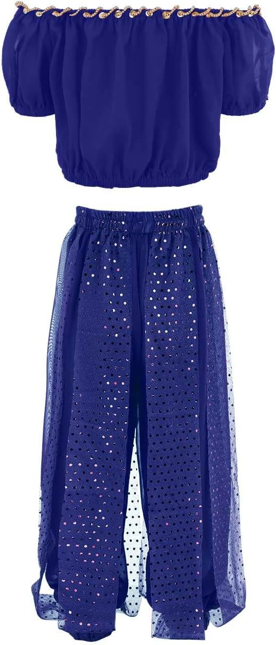 Girls Belly Dancer Dance Outfit Chiffon Top and Pants Halloween Costume Set 1
