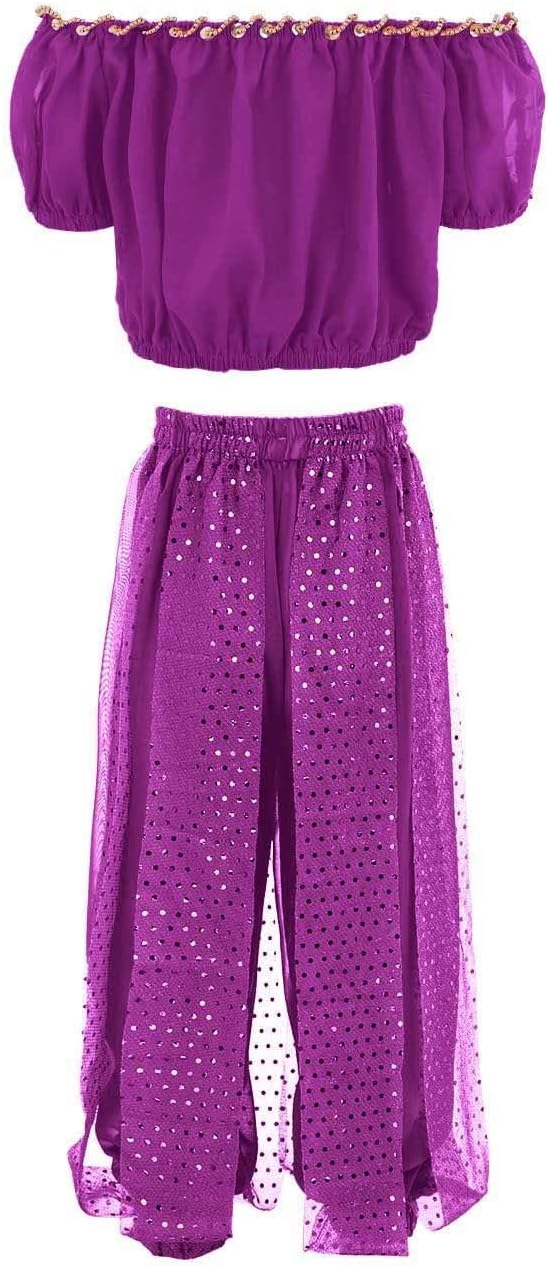 Girls Belly Dancer Costume Handmade Chiffon Top Pants Set