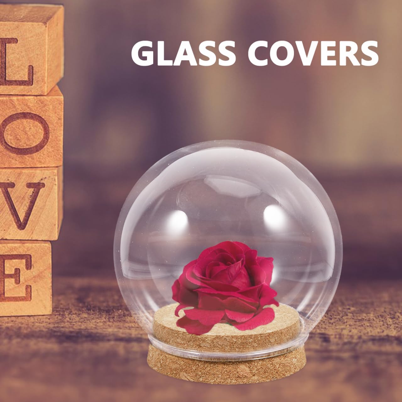 5pcs Clear Glass Cloche Dome with Wooden Base for Collectibles