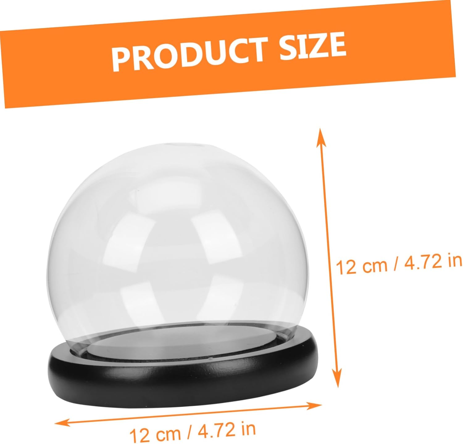 Oval Glass Bell Jar with Wooden Base LED Light