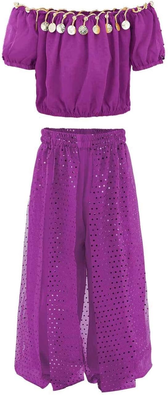 Girls Belly Dancer Costume Handmade Chiffon Top Pants Set