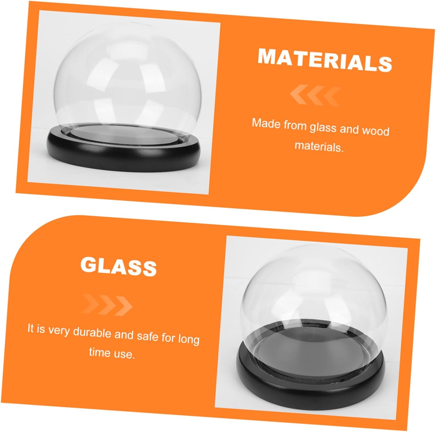 Oval Glass Bell Jar with Wooden Base LED Light