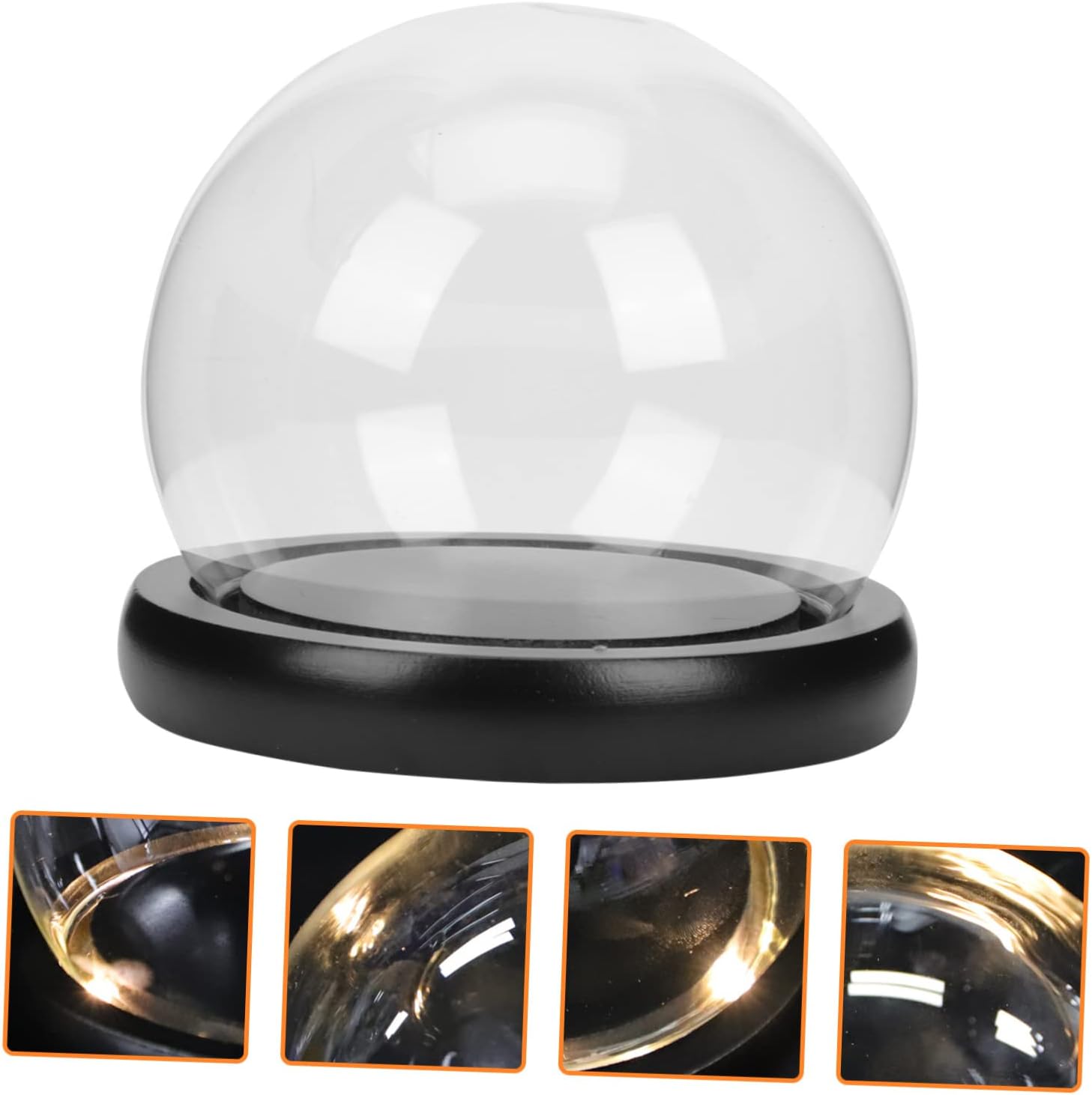 Oval Glass Bell Jar with Wooden Base LED Light