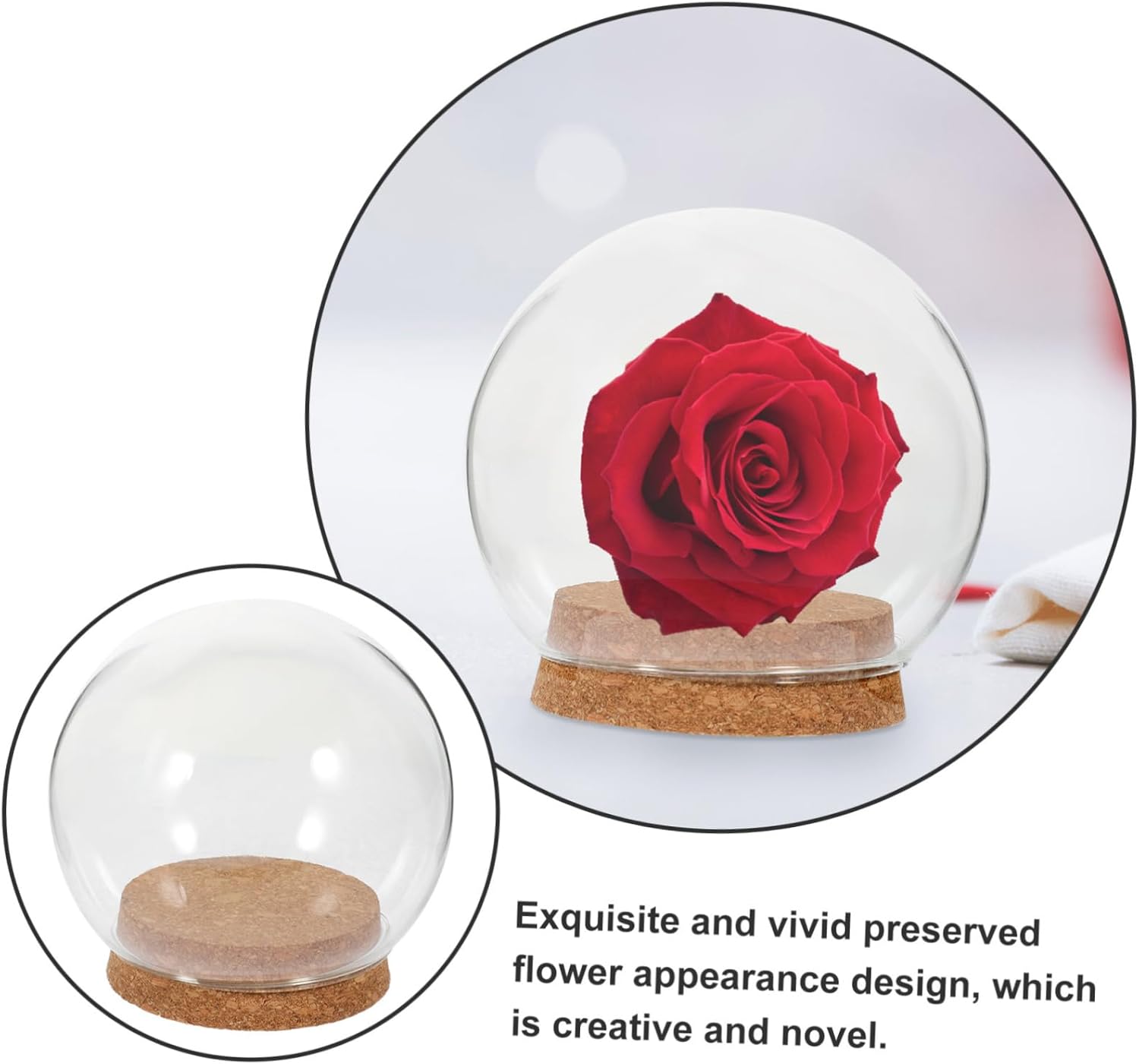 FOMIYES 5PCS Glass Dome Display Case 1