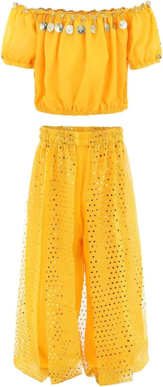 Girls Belly Dancer Handmade Chiffon Dance Outfit Set