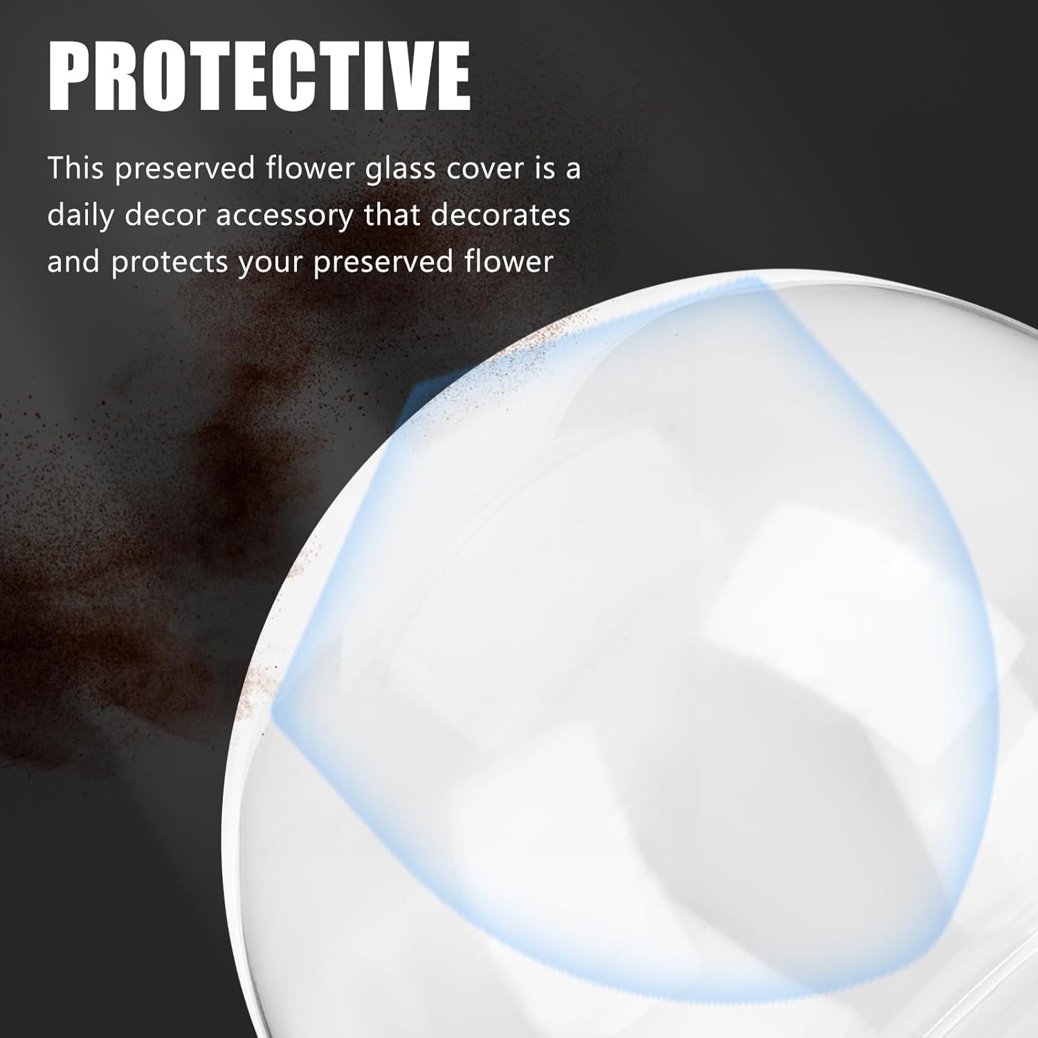 ArtBetter 2 Pack Glass Dome Cloche for Preserved Flowers