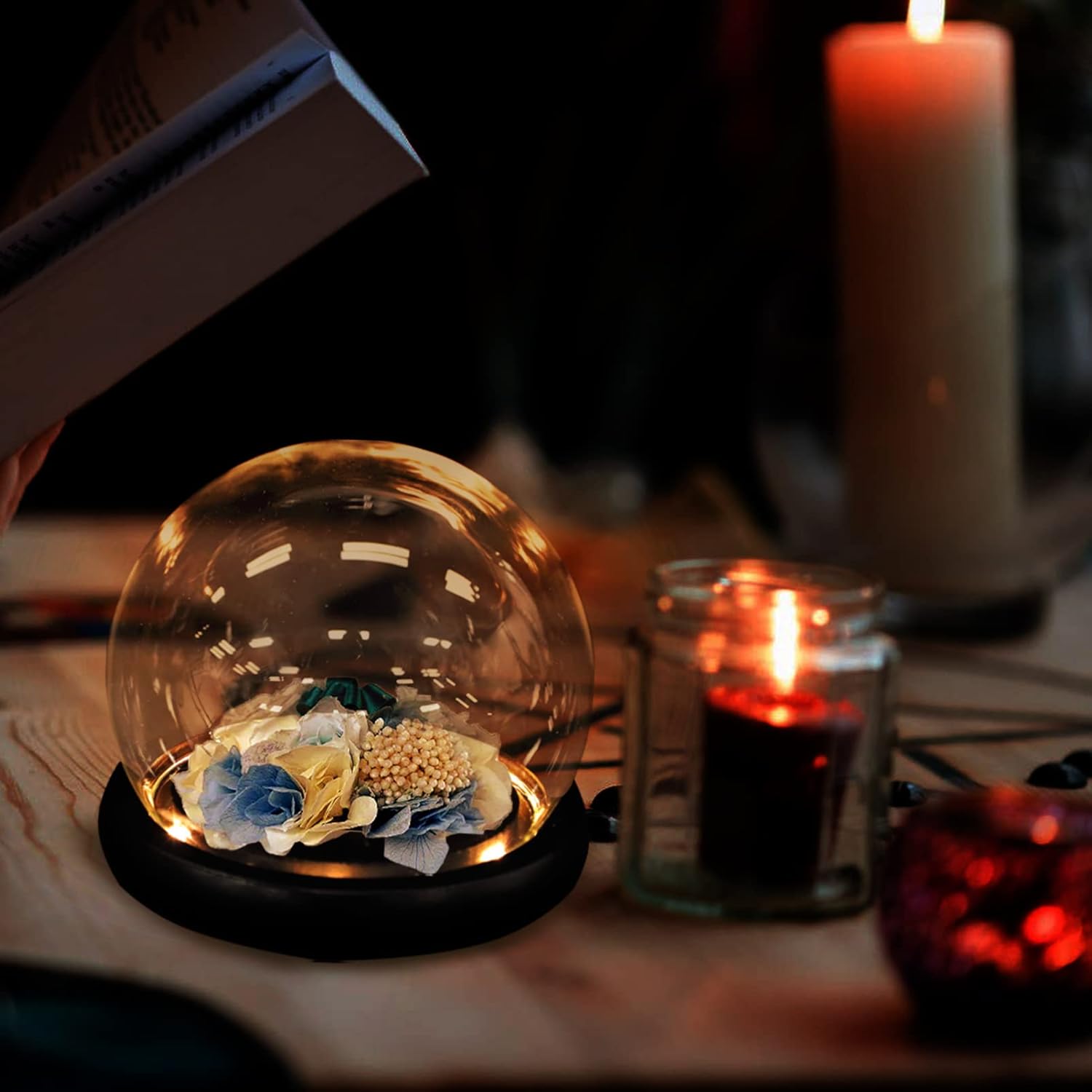 SOLUSTRE Decorative Glass Dome Jar with Base