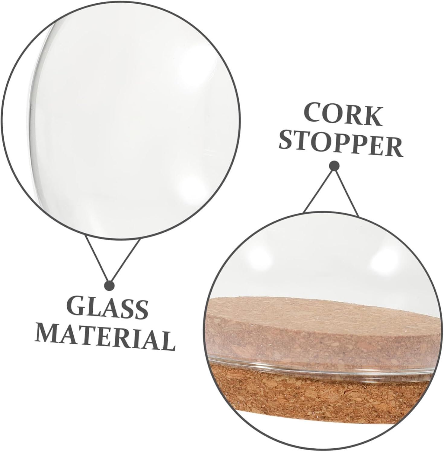 FOMIYES 5PCS Glass Dome Display Case 1