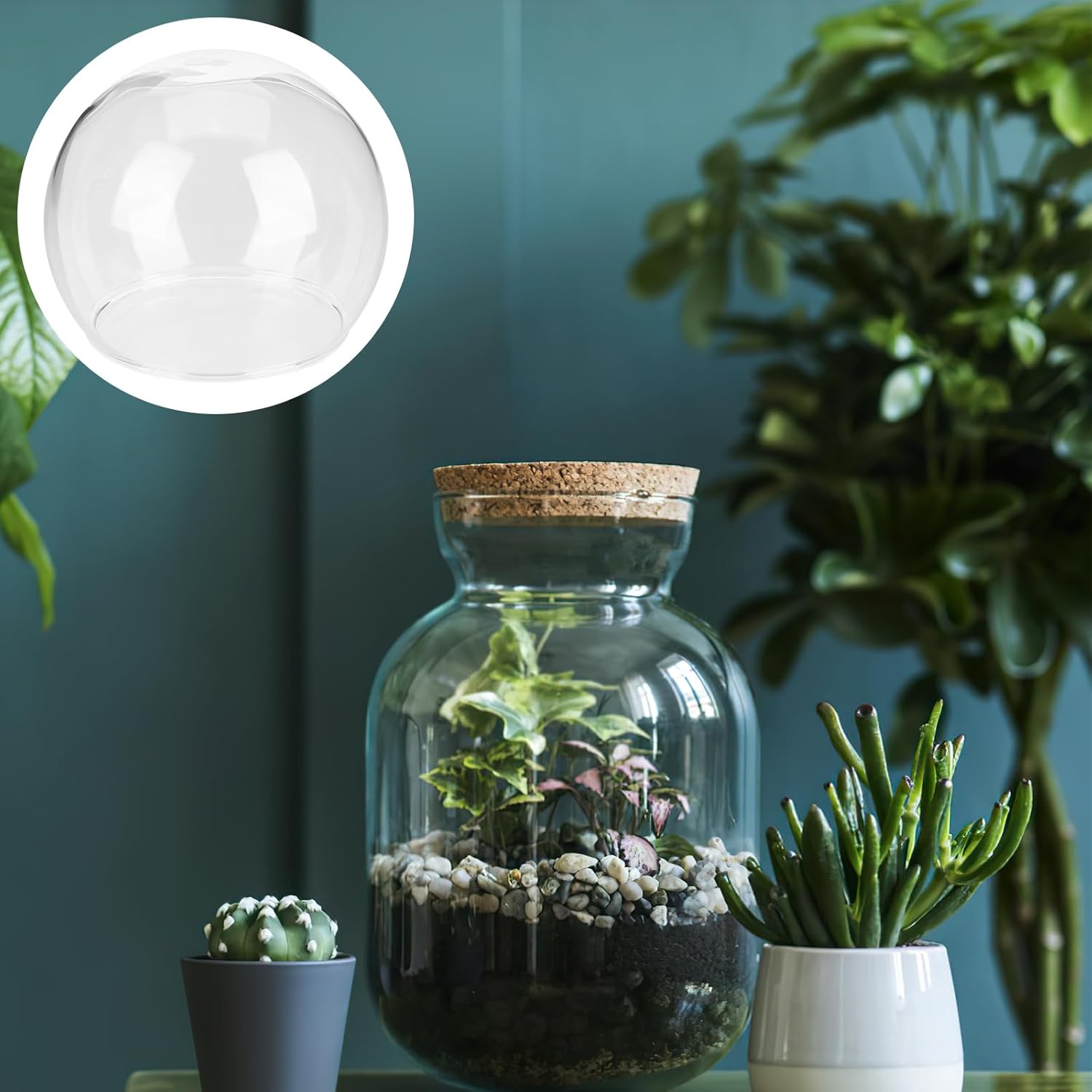 ArtBetter 2 Pack Glass Dome Cloche for Preserved Flowers
