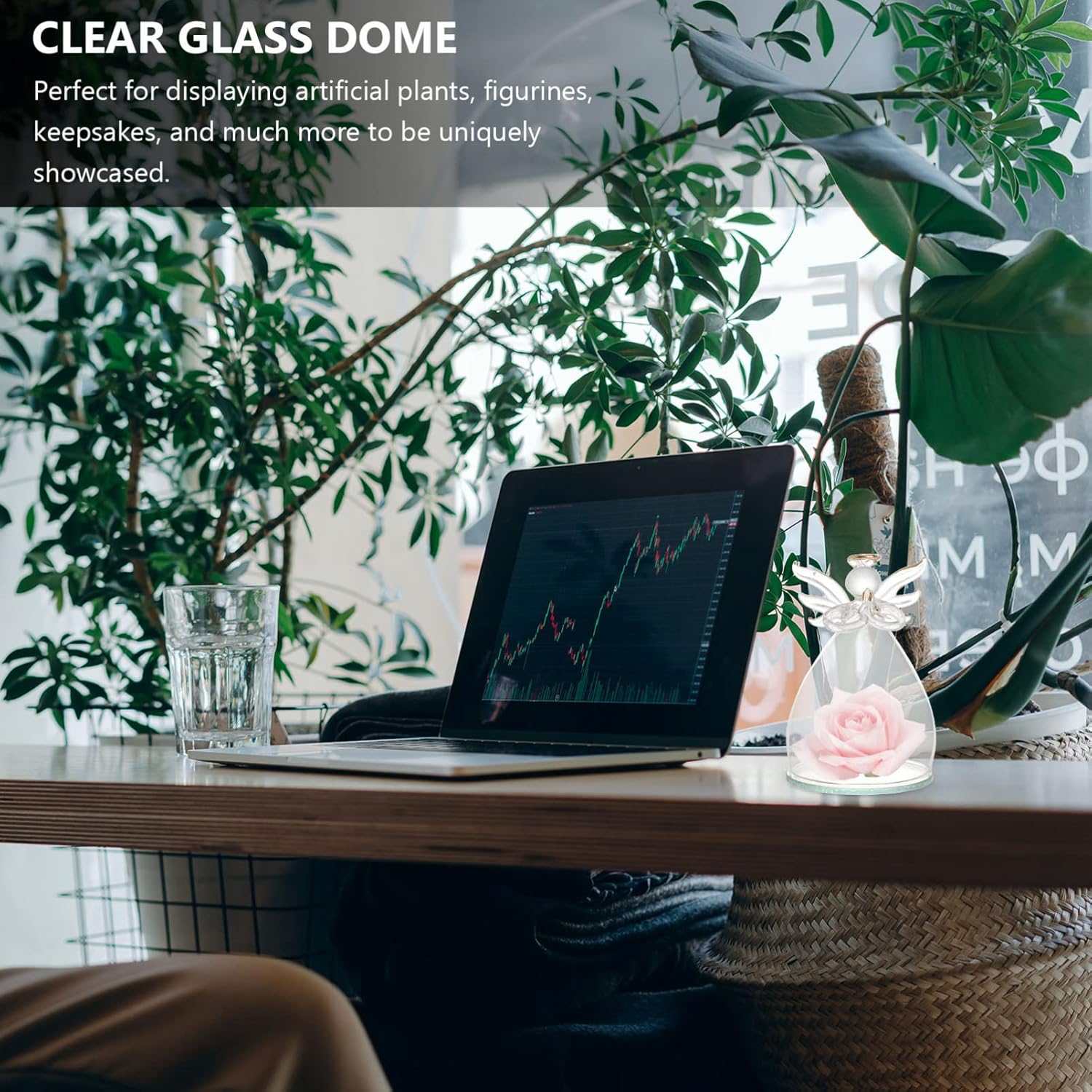 BESTOYARD 5x3 Clear Glass Cloche Bell Jar Display Case