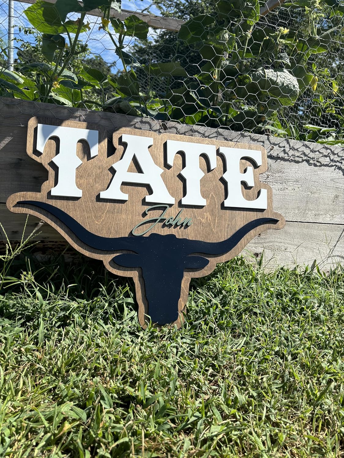 Western Themed Nursery Name Sign Bull Horns Decor